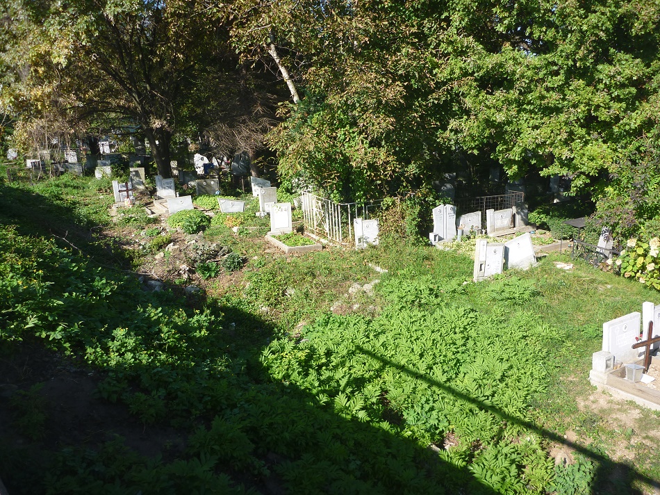 Cemetery tombstones